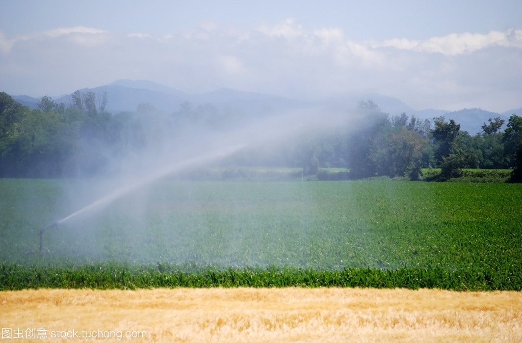 农业农村部：2021年冬小麦春季科学灌溉技术指导意见